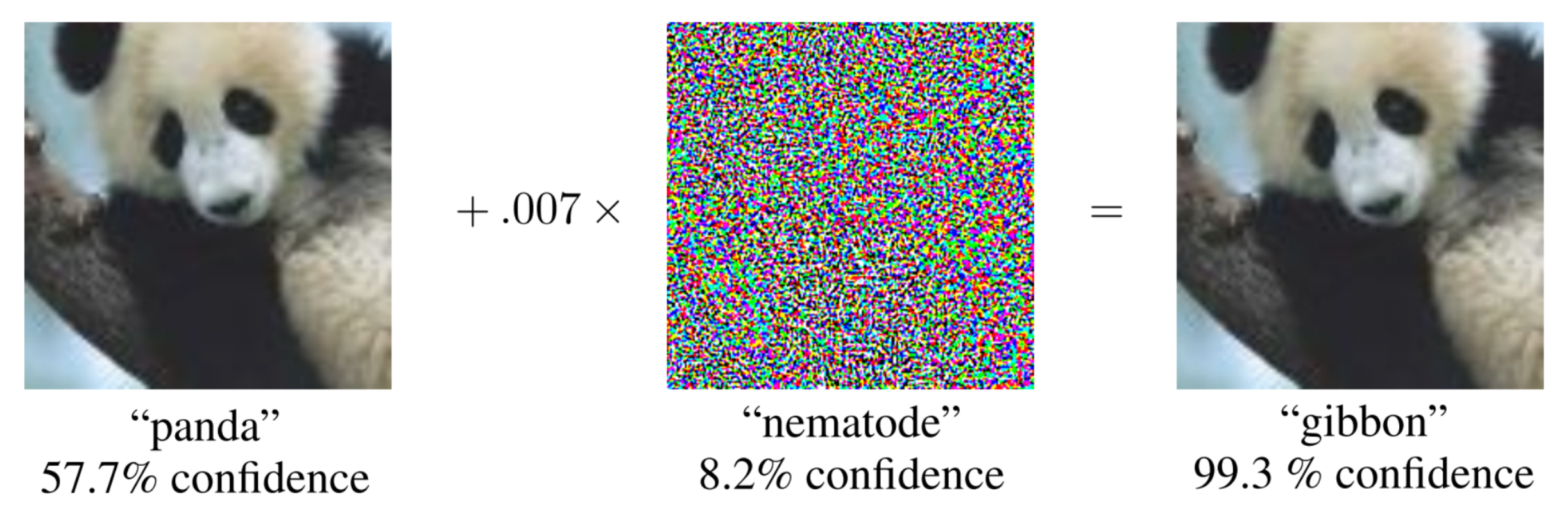 Adversarial example for a neural network